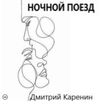 Дмитрий Каренин. Ночной поезд