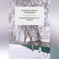 Данил Алексеевич Колмыгин. Волшебный Новый год в деревне