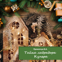 Вера Анатольевна Прокопчук. Тайна лабрадора Купера