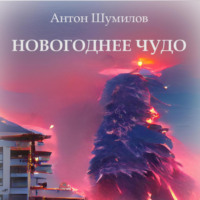Антон Шумилов. Новогоднее чудо
