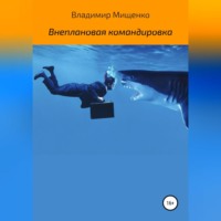 . Внеплановая командировка