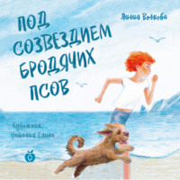 Лилия Волкова. Под созвездием Бродячих Псов