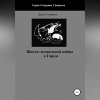 Денис Юрьевич Соловьев. Школа специальной войны в Городе