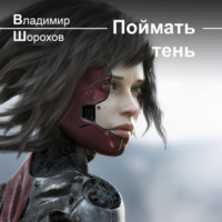 Владимир Леонидович Шорохов. Поймать тень