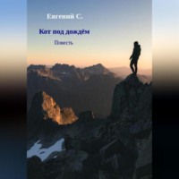 . Кот под дождём