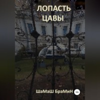 ШаМаШ БраМиН. Лопасть цавы