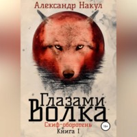 Александр Накул. Глазами волка