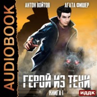 Агата Фишер. Герой из тени. Книга 1