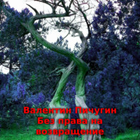 Валентин Пичугин. Без права на возвращение