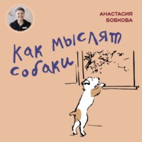 . Как мыслят собаки