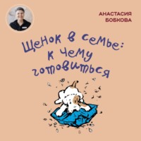 . Щенок в семье: к чему готовиться