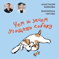 . Чем и зачем угощать собаку