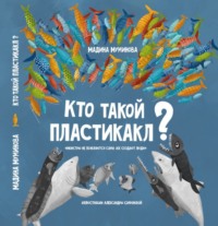 Мадина Муминова. Кто такой пластикакл?