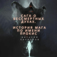 . Сага о бессмертных духах. История мага по имени Прокис