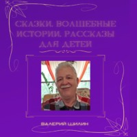 Валерий Шилин. Сказки, волшебные истории, рассказы для детей