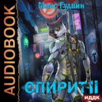 Макс Гудвин. СПИРИТ. Книга 2
