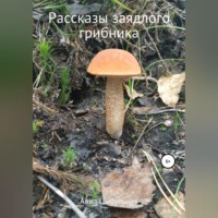 . Рассказы заядлого грибника