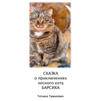 Татьяна Анатольевна Тумилевич. Сказка о приключениях лесного кота Барсика
