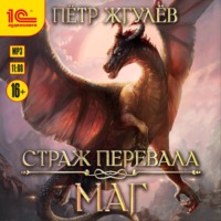 . Страж перевала. Маг