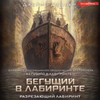 Джеймс Дэшнер. Разрезающий лабиринт