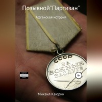 . Позывной «Партизан»