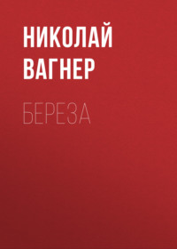 . Береза