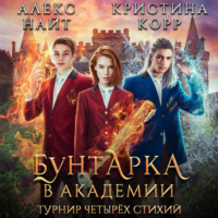. Бунтарка в академии. Турнир Четырёх Стихий