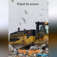 . На дне