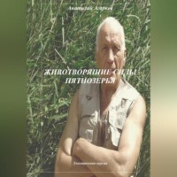 . Животворящие силы Пятиозерья