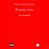 Марсель Зуфарович Шафеев. Ночная утеха