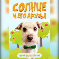 Дария Волохонская. Солнце и его друзья