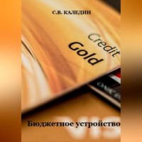 . Бюджетное устройство