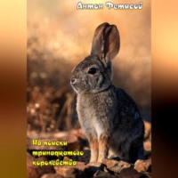 . На поиски тринадцатого королевства