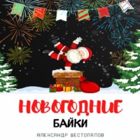 Александр Шестопалов. Новогодние байки