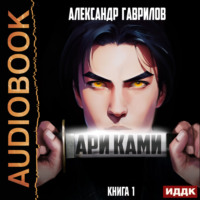. Ари Ками. Книга 1
