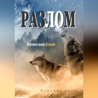 Вячеслав Кинн. Разлом