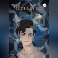 . Чёрный кот