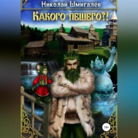 Николай Николаевич Шмигалев. Какого лешего?!