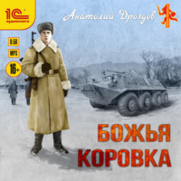 . Божья коровка