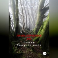 Евгения Ляшко. Приключения ДД. Тайна Чёрного леса