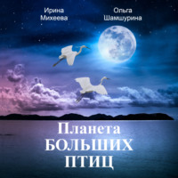 Ольга Шамшурина. Планета Больших Птиц