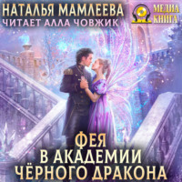 . Фея в Академии Чёрного дракона