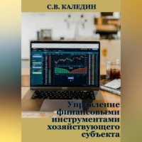 . Управление финансовыми инструментами хозяйствующего субъекта
