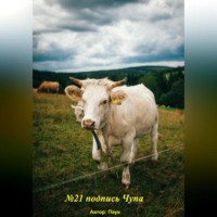 Паук. №21 подпись чупа