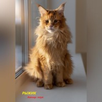 Паук. Рыжик