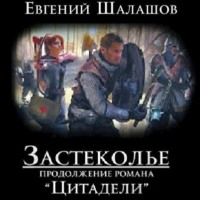 Евгений Шалашов. Застеколье