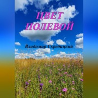Владимир Скребицкий. Цвет полевой
