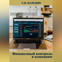 . Финансовый контроль в компании