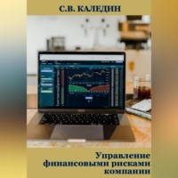 . Управление финансовыми рисками компании