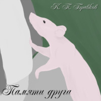 Кирилл Павлович Бравков. Памяти друга
